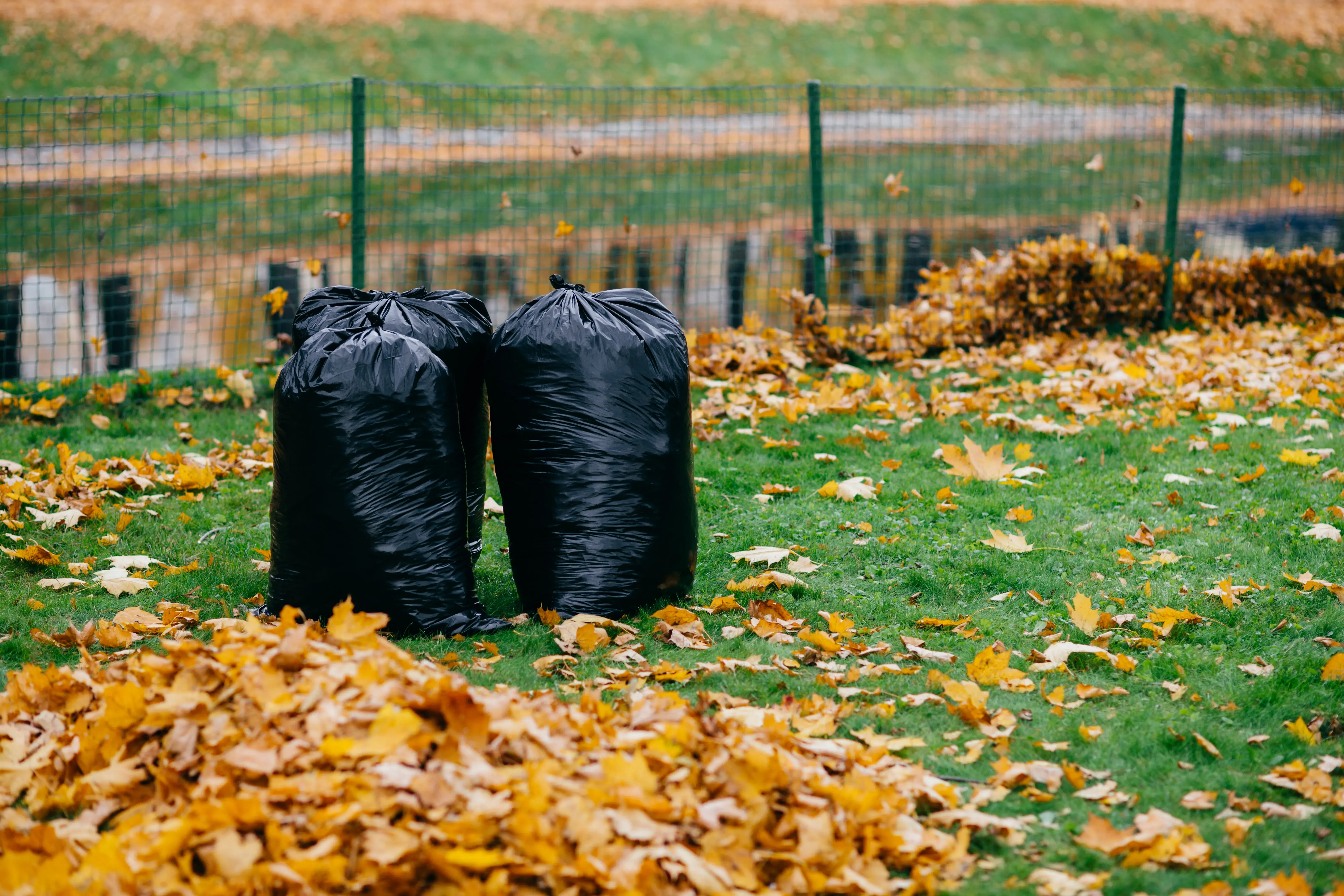 How to book a leaf removal service for a large property