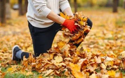 How to Clean Up a Large Amount of Leaves Fast and the Smart Way