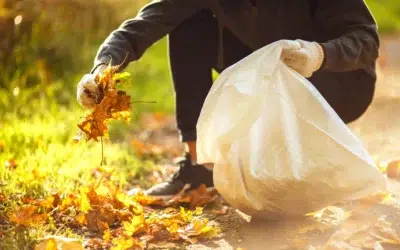 Where can I find the best leaf clean up service 2 Where Can I Find the Best Leaf Clean Up Service? Your Guide to Choosing the Best Leaf Removal Service