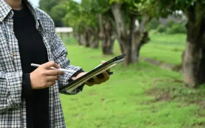 How to Schedule Routine Commercial Tree Inspections and Protect Your Property