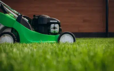 Where to buy durable mowers for commercial lawn maintenance Where to Buy Durable Mowers for Commercial Lawn Maintenance? A Guide for Pros and Property Managers
