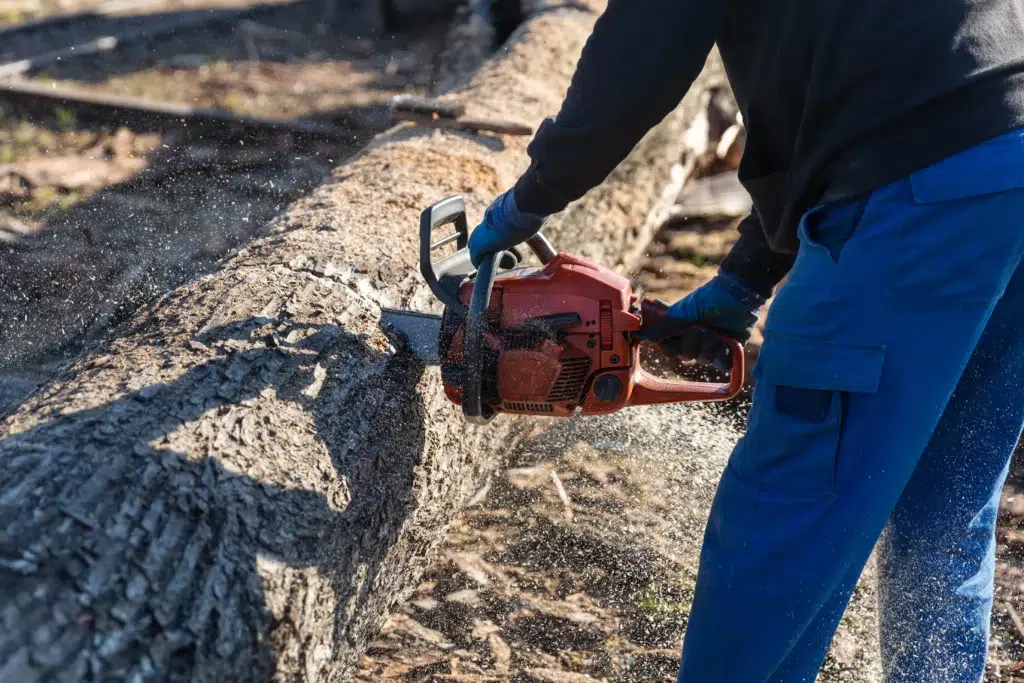 Do I need a permit to cut down a tree on my property in Texas?