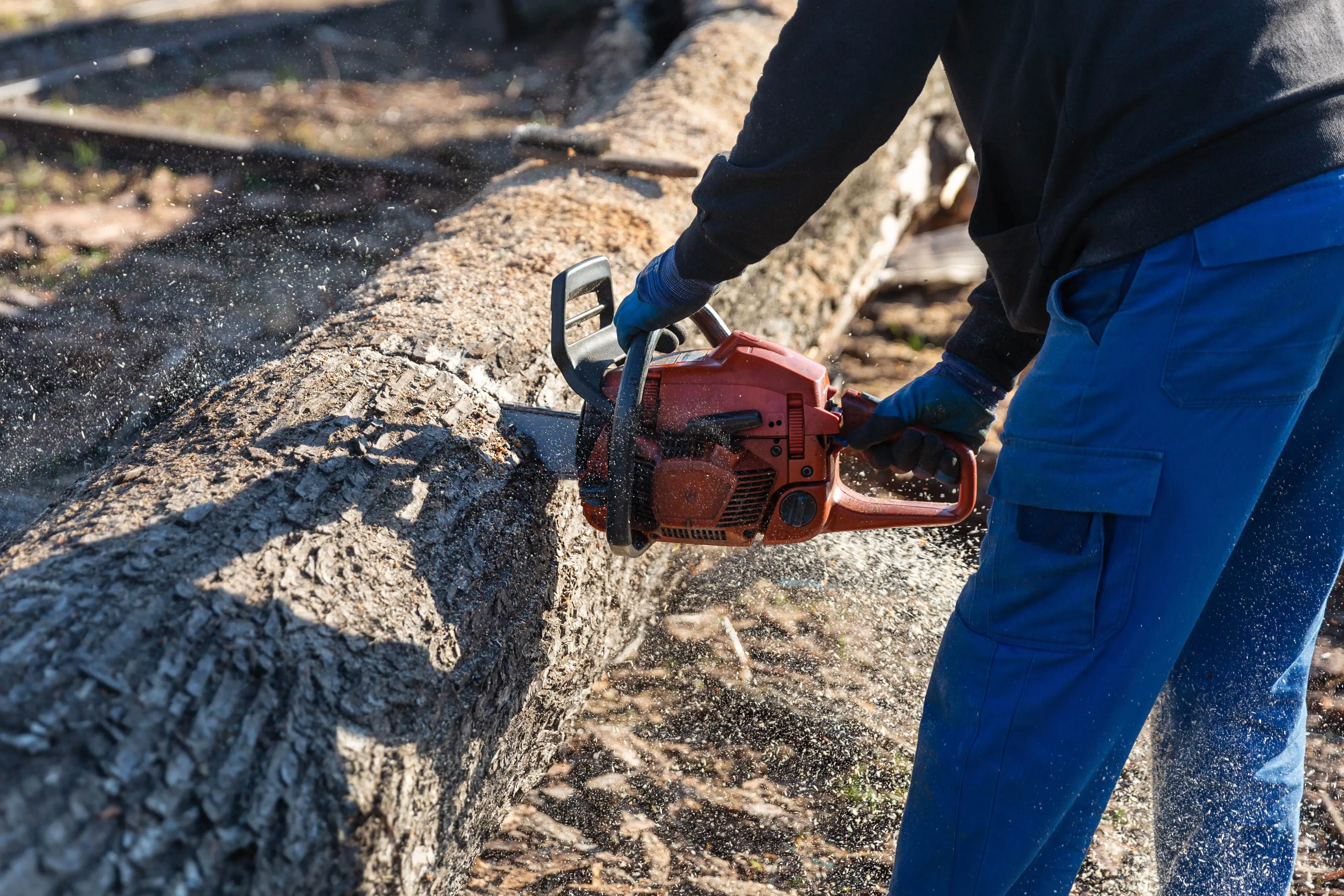Do I need a permit to cut down a tree on my property in Texas 2 Do I need a permit to cut down a tree on my property in Texas?
