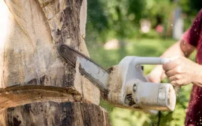 Do I Need a Permit to Cut Down a Tree on My Property in Texas? (What Homeowners Should Know Before Removing a Tree)