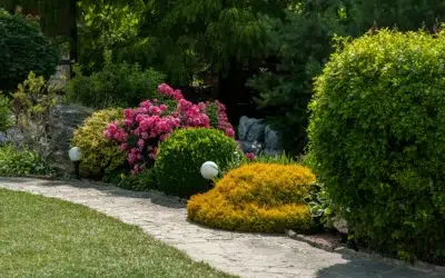 How Many Types of Shrubs Are There? (Best Shrubs For Your Backyard)