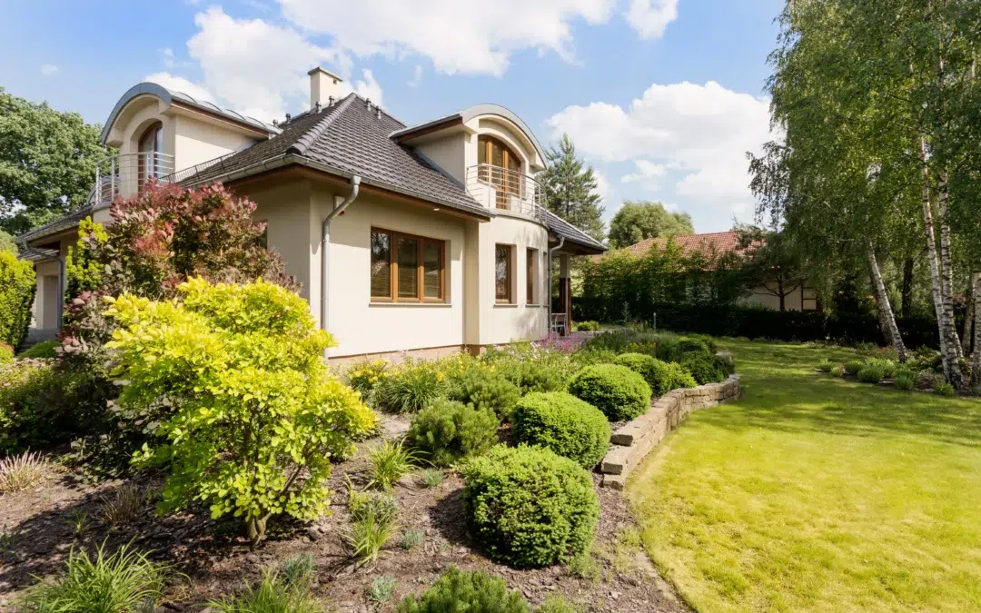 What Shrubs Look Best in Front of a House: Stunning Curb Appeal Ideas that Actually Work