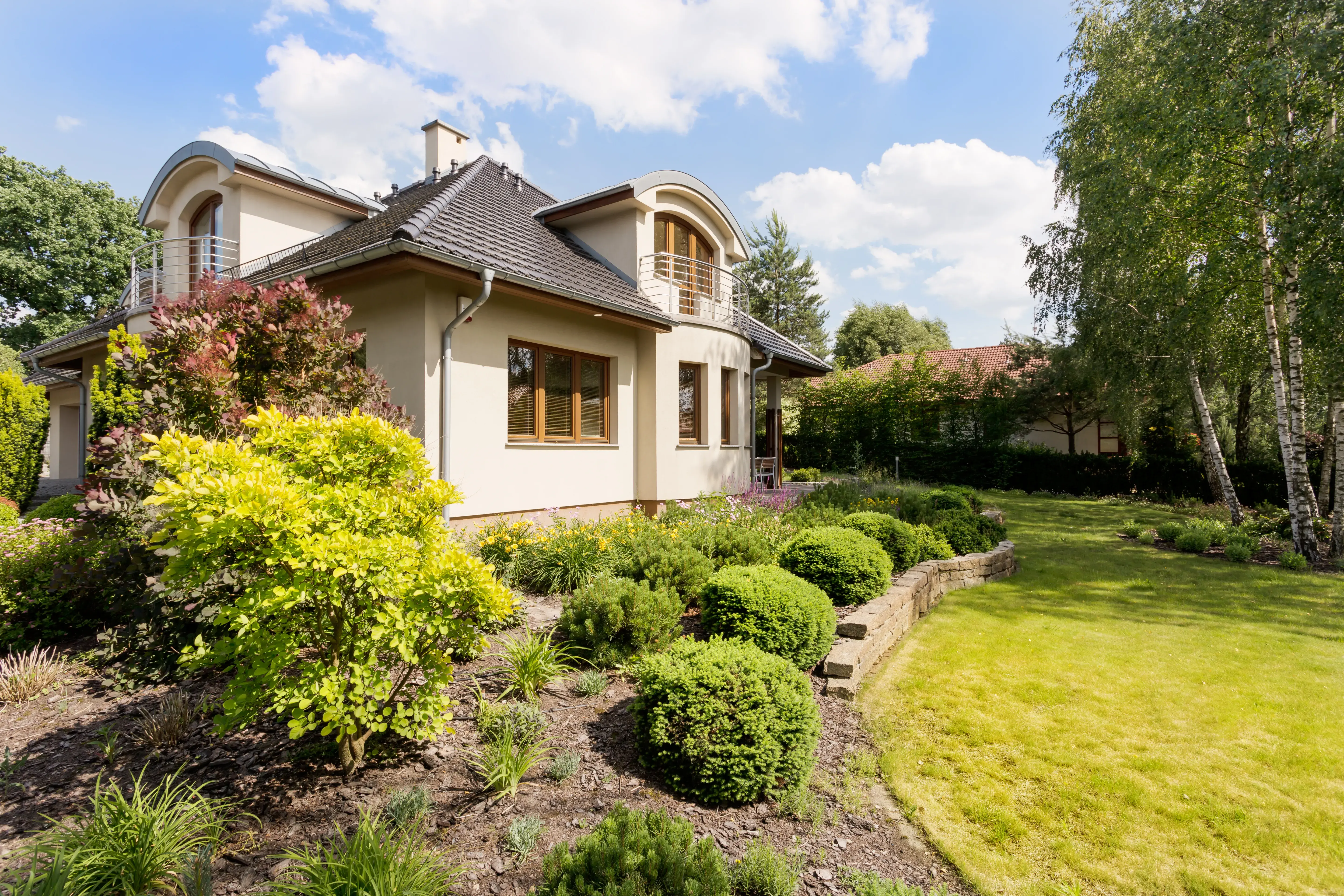 What shrubs look best in front of a house