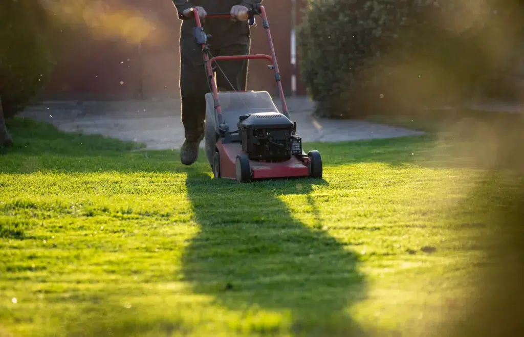 Can I mow the lawn twice a week
