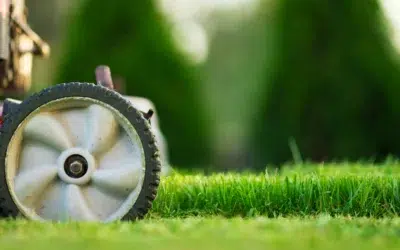 Can I Mow the Lawn Twice a Week: Smart Lawn Care Guide for a Healthier, Greener Yard