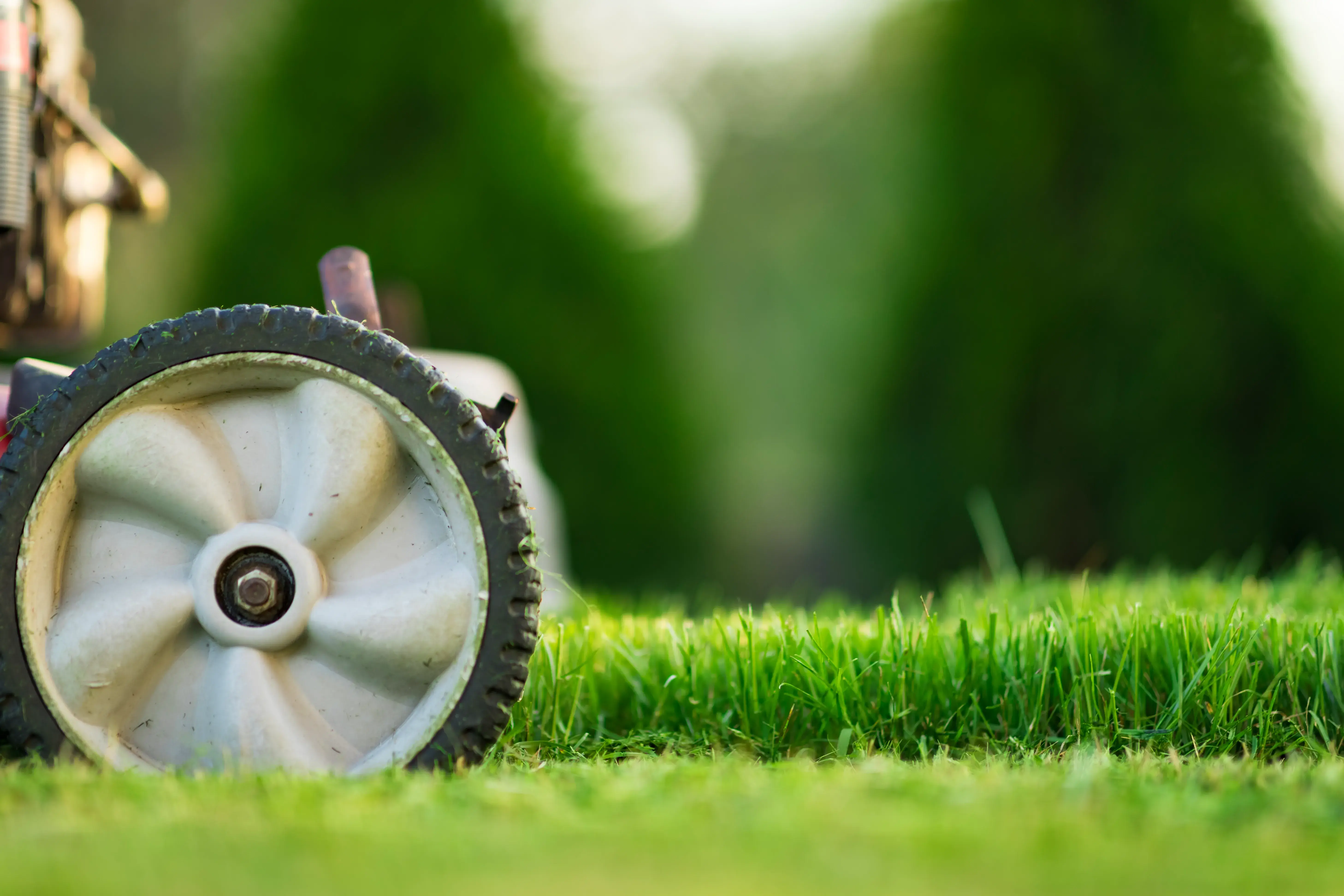 Can I mow the lawn twice a week