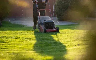 Can I mow the lawn twice a week Can I Mow the Lawn Twice a Week: Smart Lawn Care Guide for a Healthier, Greener Yard