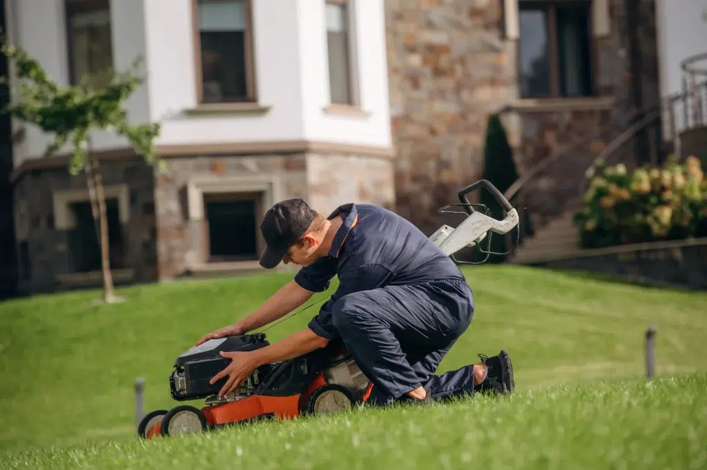 What lawn service is available in Allen