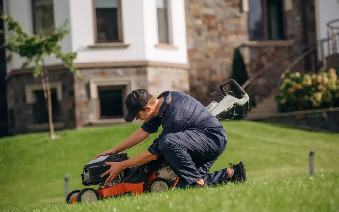 What Lawn Service Is Available in Allen: Trusted Lawn Care That Makes Your Yard Stand Out