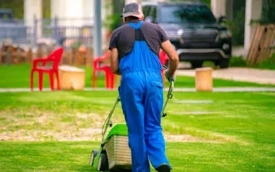 What lawn service is available in Allen What Lawn Service Is Available in Allen: Trusted Lawn Care That Makes Your Yard Stand Out