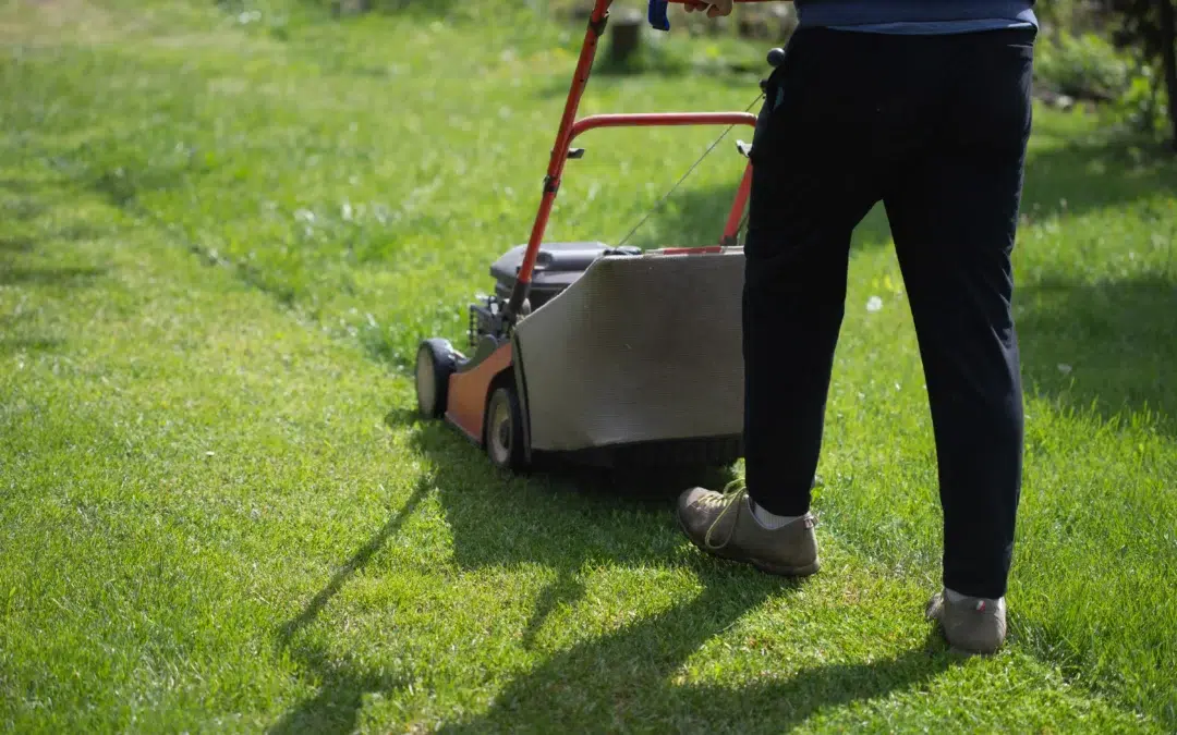 When Should You Use a Lawn Care Service for a Healthy, Beautiful Yard All Year Round