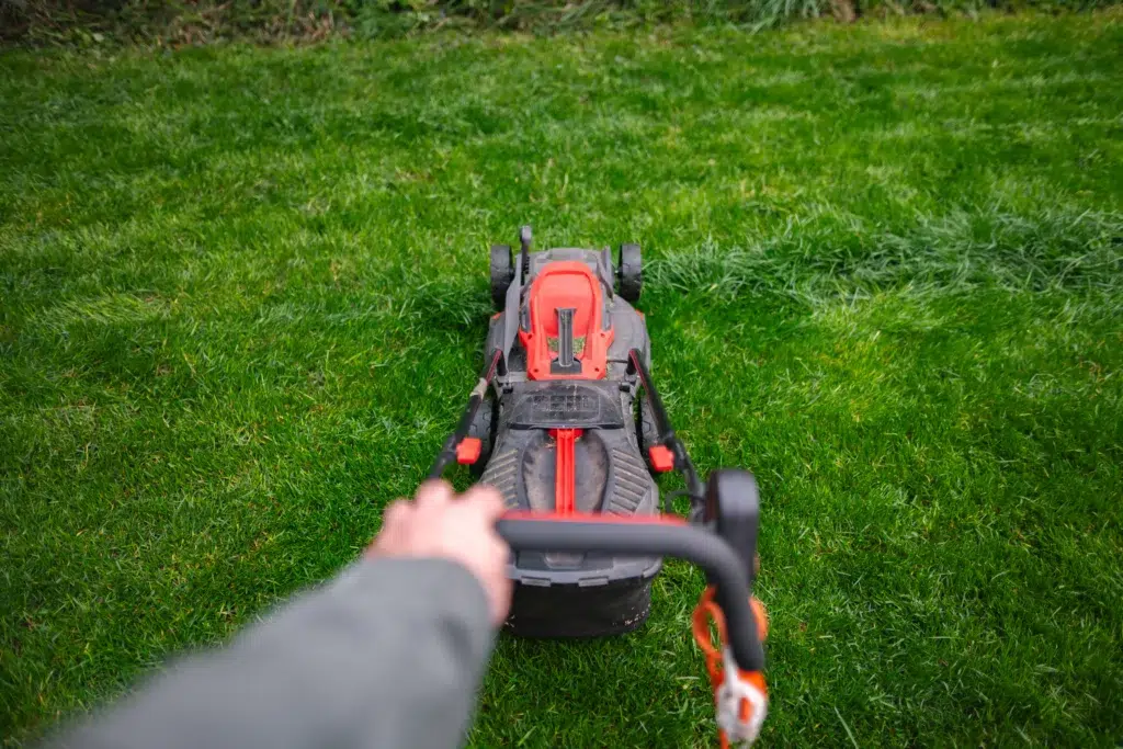 When should you use a lawn care service