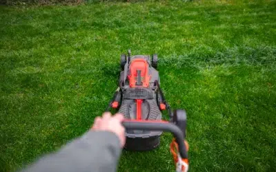 When should you use a lawn care service 2 When Should You Use a Lawn Care Service for a Healthy, Beautiful Yard All Year Round