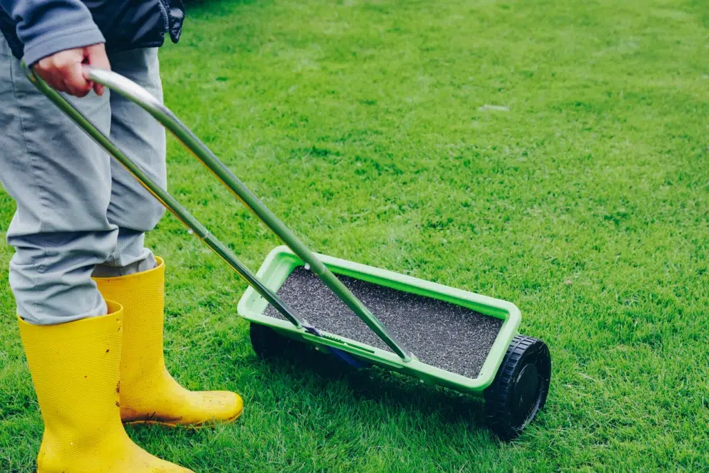 How often should lawns be fertilized in Allen TX climate