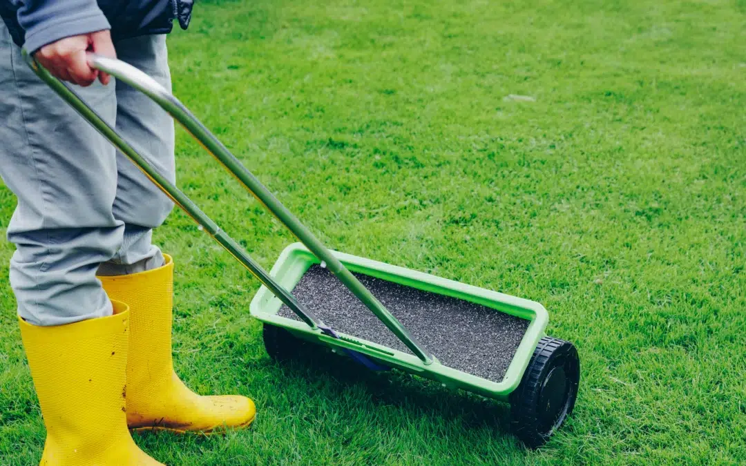 Affordable Fertilizer Services: What Should Be Included