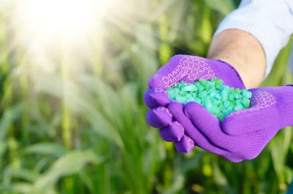 How to choose a fertilization service in Allen