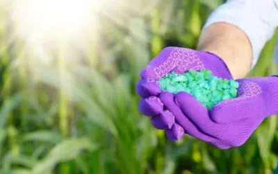 How to choose a fertilization service in Allen How to Choose a Fertilization Service in Allen: Expert Tips for a Healthier, Greener Lawn