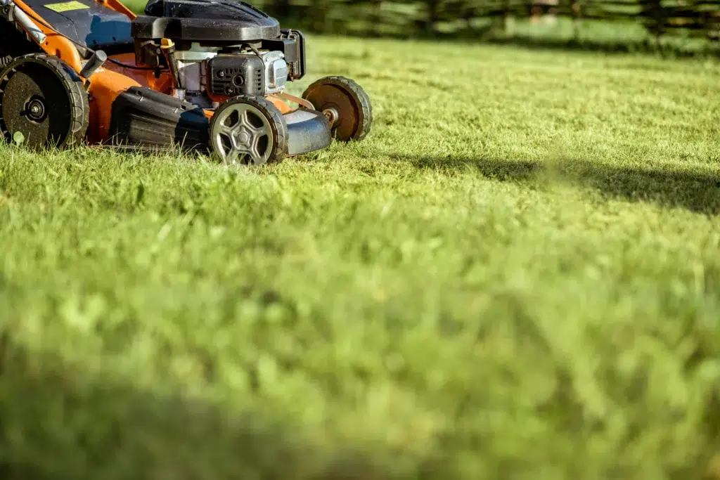How to Choose a Reliable Lawn Care Service in Allen: A Simple Guide to Finding the Best Lawn Experts for a Healthy Yard Year-Round