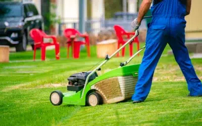 How to Choose a Reliable Lawn Care Service in Allen: A Simple Guide to Finding the Best Lawn Experts for a Healthy Yard Year-Round