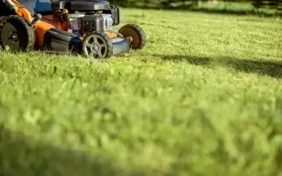 How to choose a reliable lawn care service in Allen How to Choose a Reliable Lawn Care Service in Allen: A Simple Guide to Finding the Best Lawn Experts for a Healthy Yard Year-Round