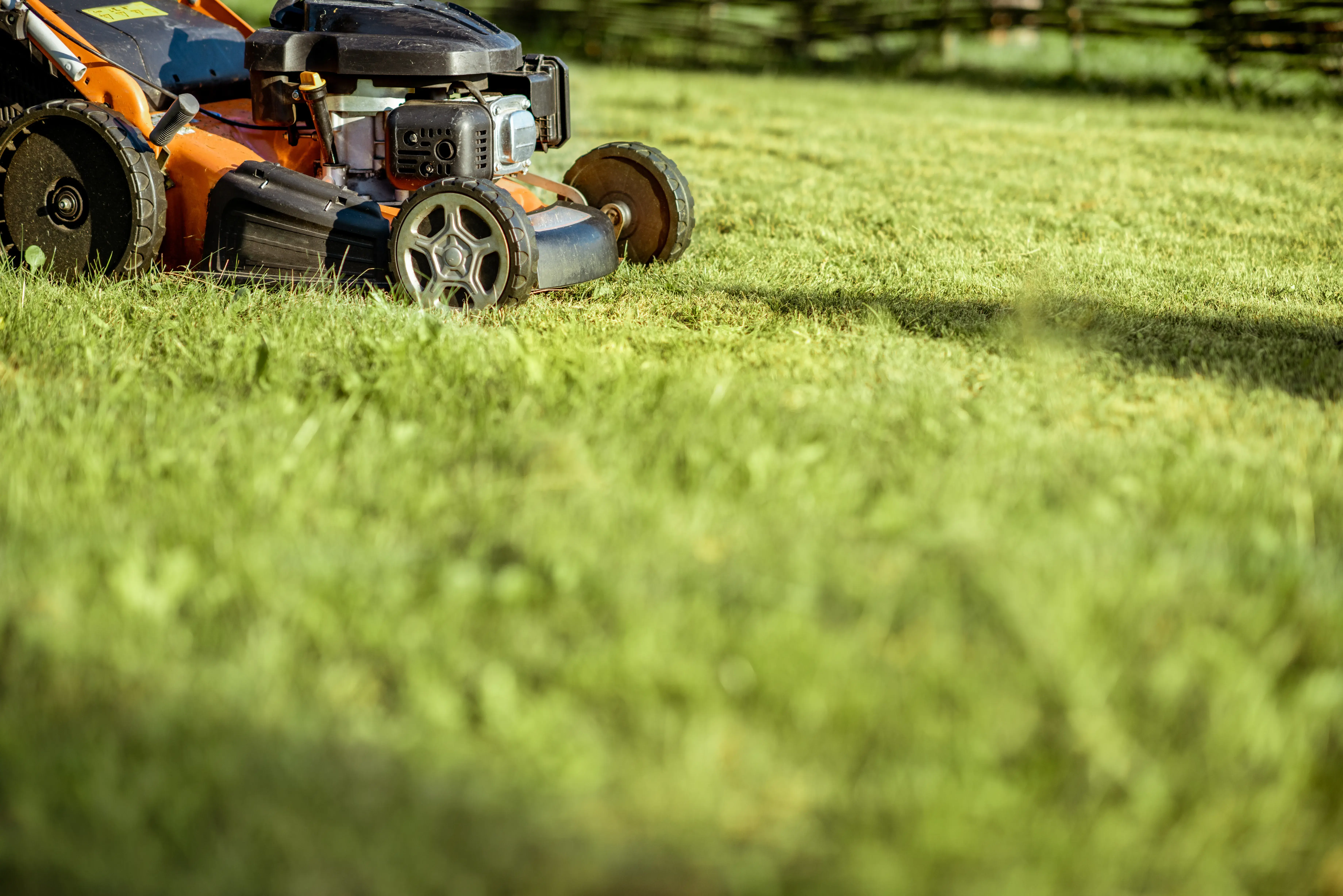 How to choose a reliable lawn care service in Allen How to Choose a Reliable Lawn Care Service in Allen: A Simple Guide to Finding the Best Lawn Experts for a Healthy Yard Year-Round