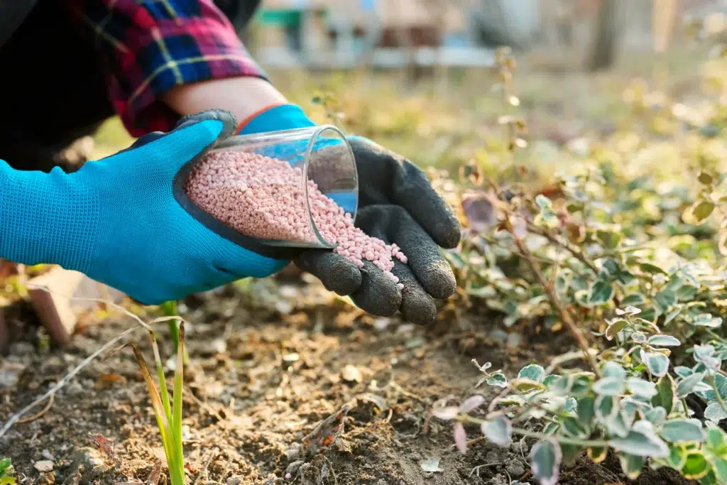 Where to find organic fertilization services in Allen TX