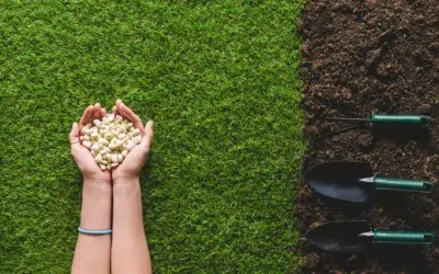 Where to Find Organic Fertilization Services in Allen TX: Proven Ways to Get a Healthier, Greener Lawn Naturally