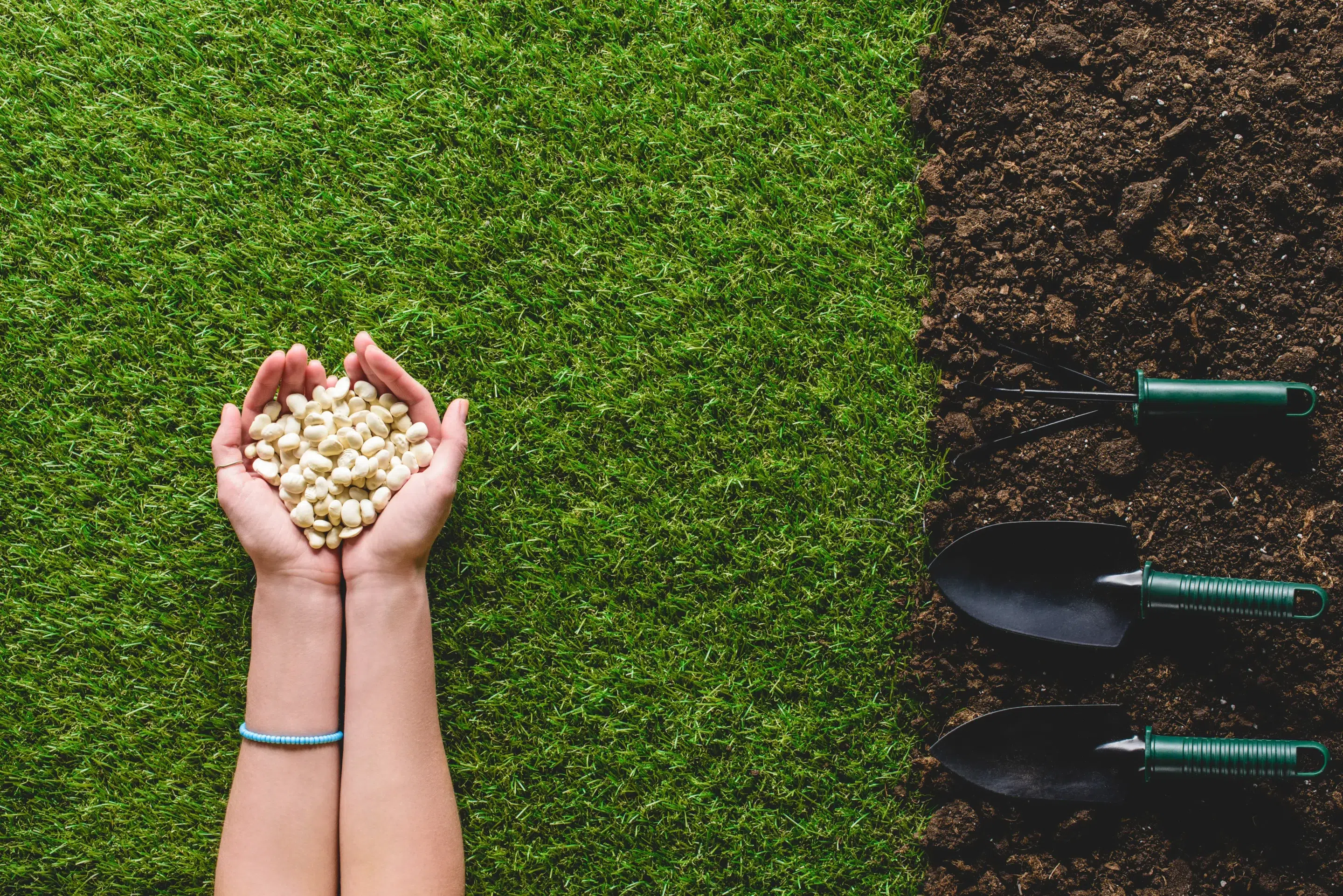 Organic and conventional fertilizer options for residential lawn care programs