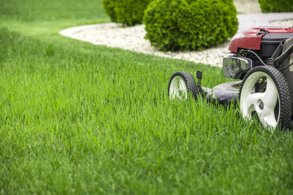 Best lawn mowing services
