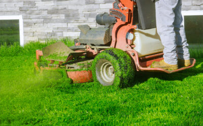Best Lawn Mowing Services: Discover How to Keep Your Yard Healthy and Beautiful