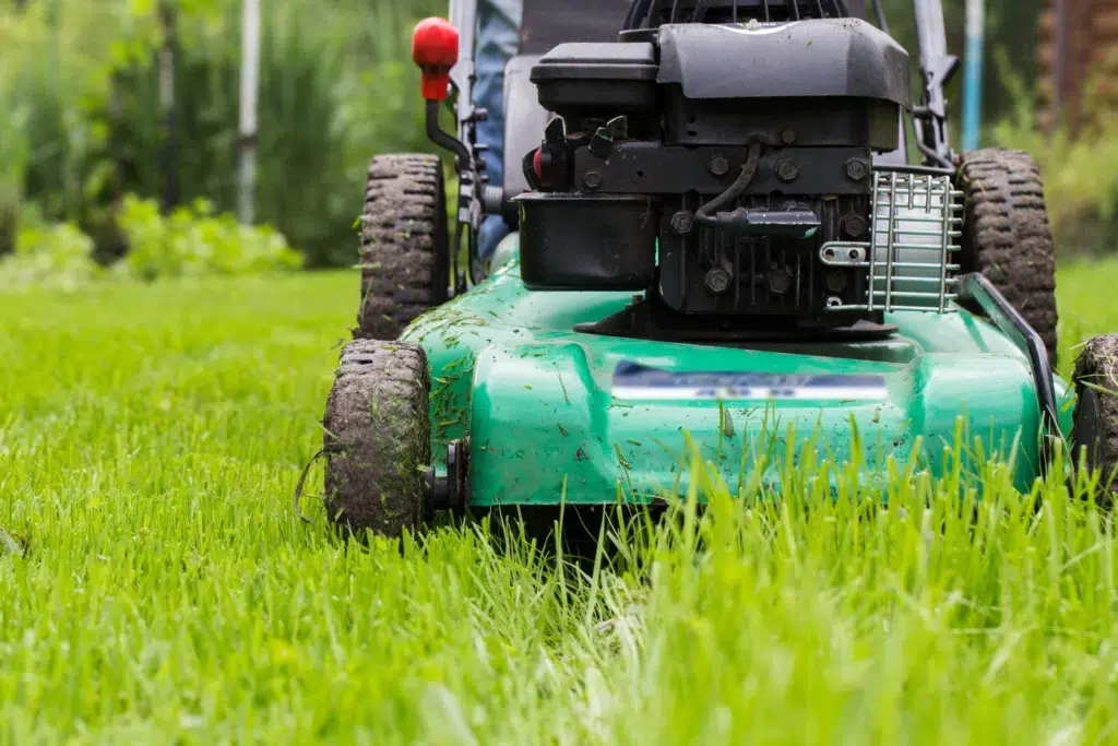 How to book a professional lawn mowing service