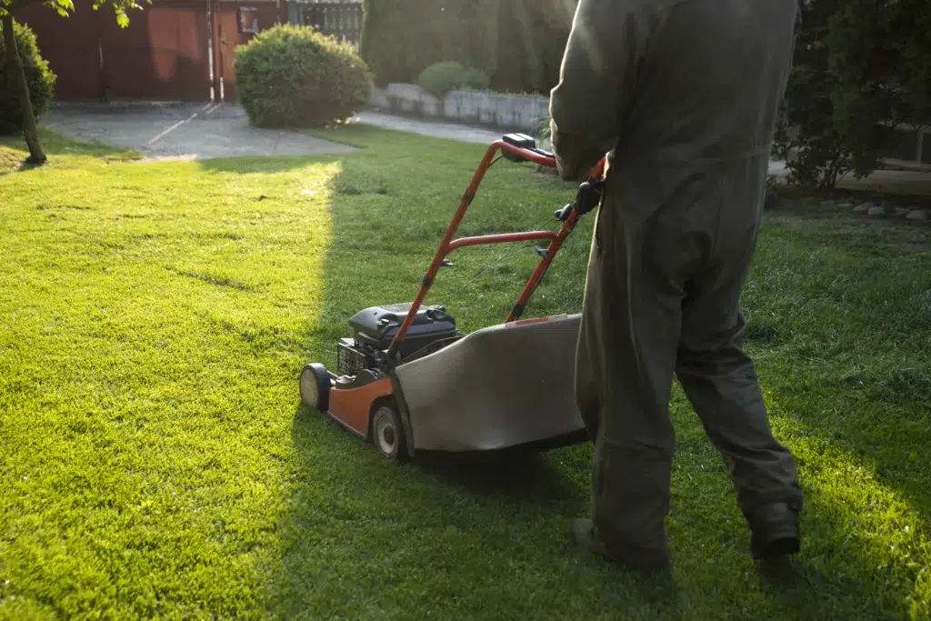 How to book a professional lawn mowing service