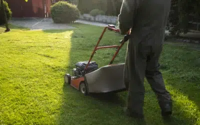 How to Book a Professional Lawn Mowing Service: Your Easy Guide to a Healthy, Beautiful Lawn