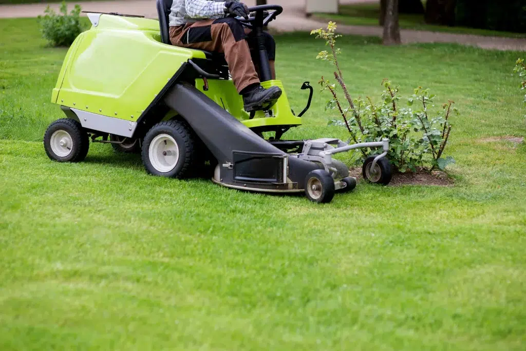 What are the Affordable lawn mowing services