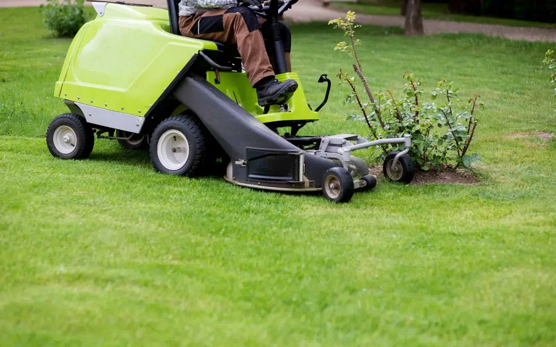 What are the Affordable Lawn Mowing Services: Simple Ways to Get a Healthy, Great-Looking Lawn Without Overspending