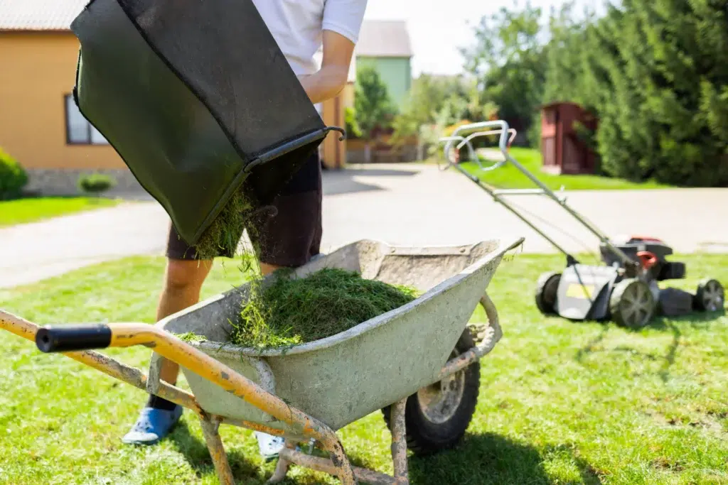 What are the Affordable lawn mowing services