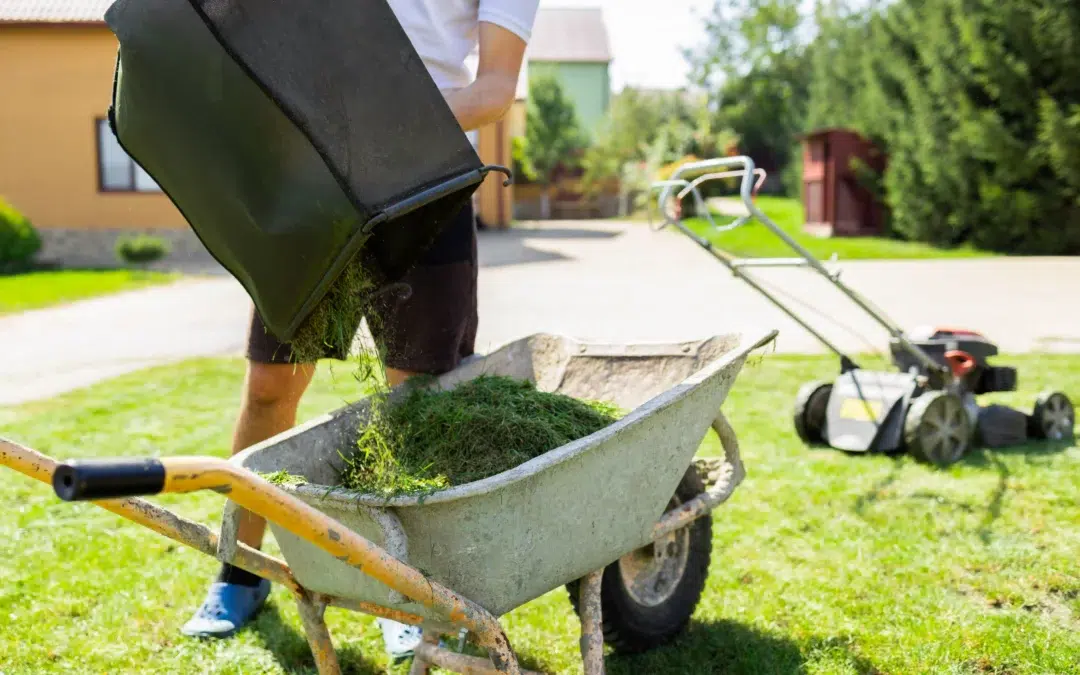 How to Choose the Right Lawn Mower: The Smart Homeowner’s Guide to a Healthier Lawn