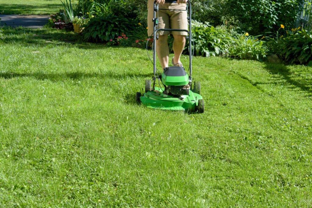Improving Lawn Care