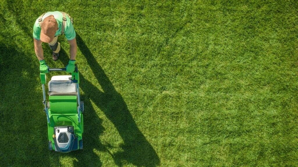 Commercial Lawn Mowing Services: Enhancing the Outdoor Appeal of Your Business