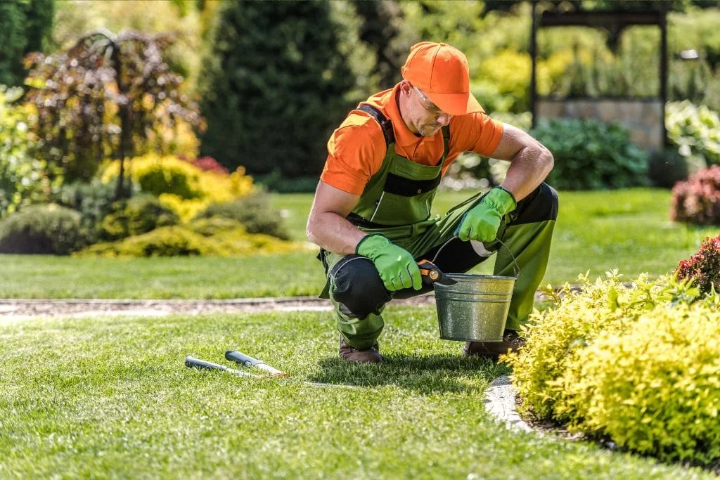 7 Shocking Truths About DIY vs. Professional Residential Landscape Maintenance Services - My Neighbor Services